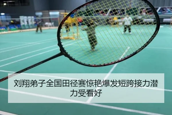 刘翔弟子全国田径赛惊艳爆发短跨接力潜力受看好